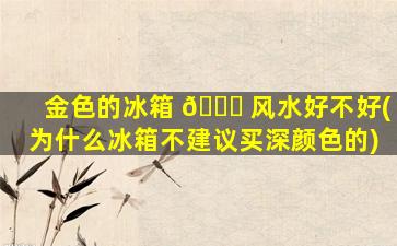 金色的冰箱 🐟 风水好不好(为什么冰箱不建议买深颜色的)